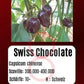 Swiss Chocolate DER TOMATENFLÜSTERER