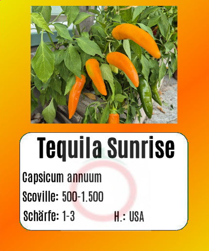 Tequila Sunrise DER TOMATENFLÜSTERER
