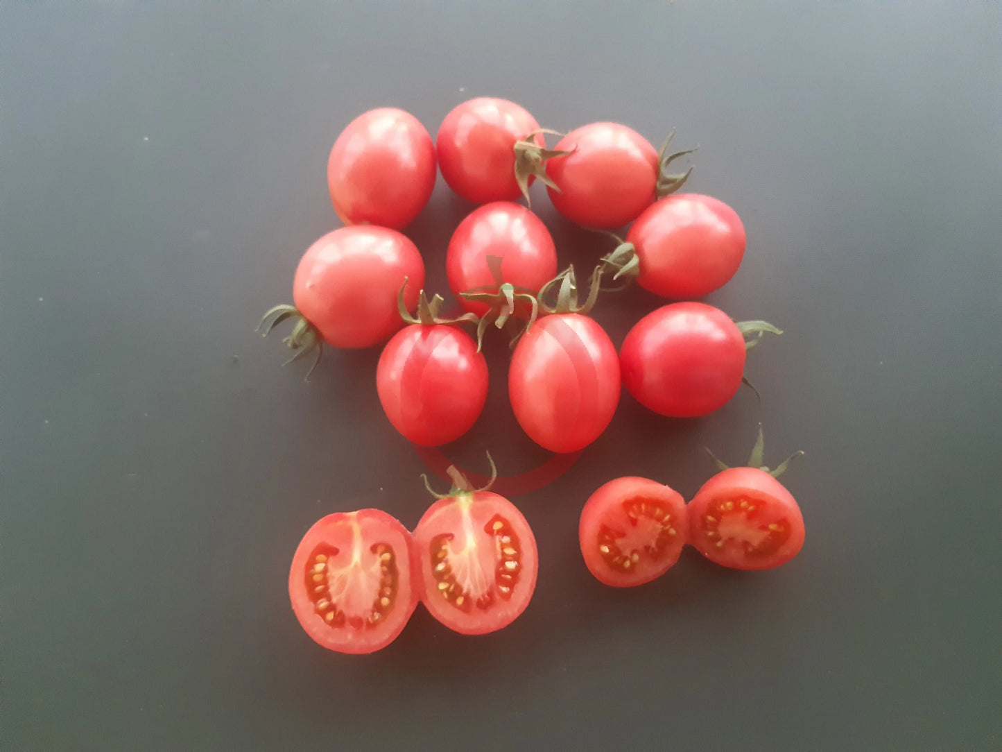 Thai Pink Egg DER TOMATENFLÜSTERER