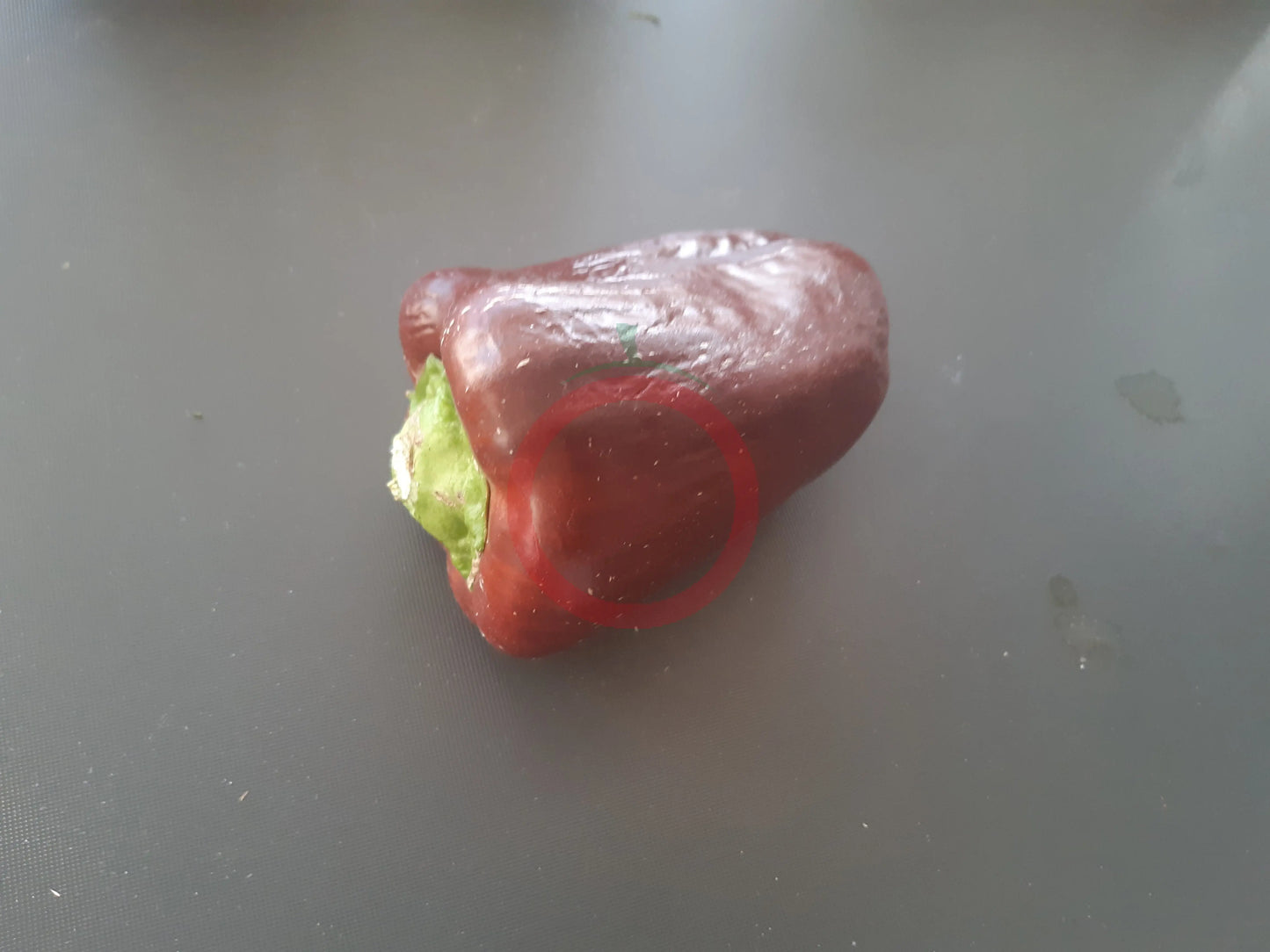 The Mordovian Bogatir DER TOMATENFLÜSTERER