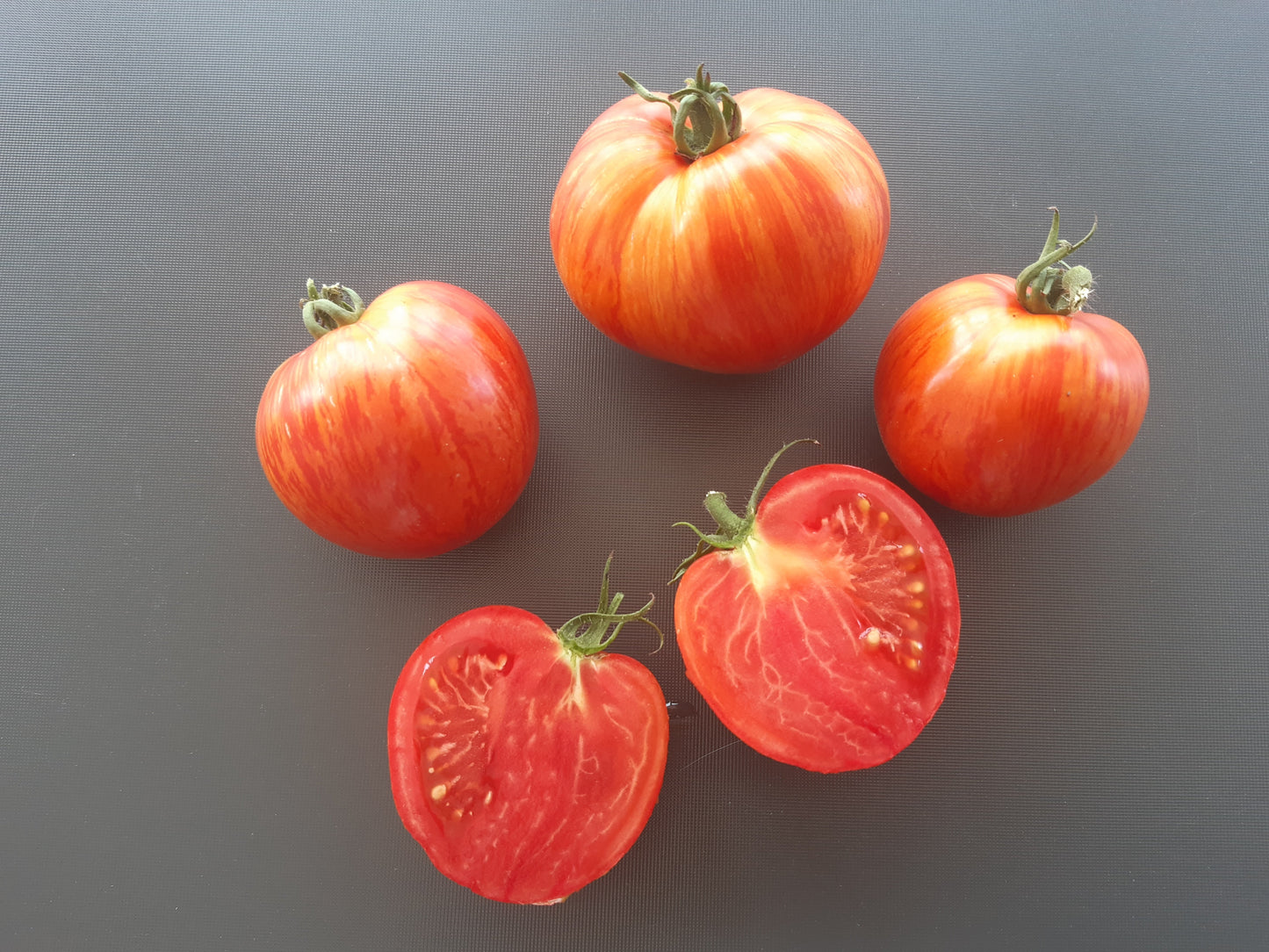 The Oxbow Striped Heart DER TOMATENFLÜSTERER