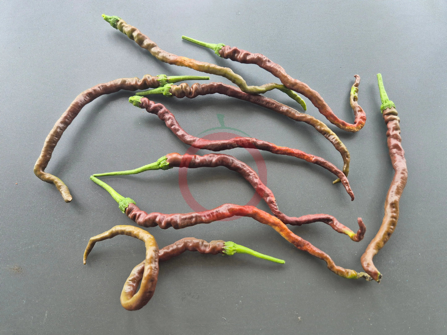 Thunder Cacho Brown DER TOMATENFLÜSTERER