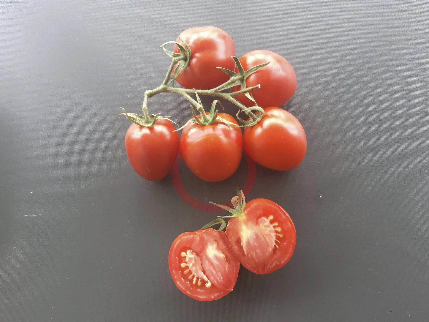 Tikla Sundari DER TOMATENFLÜSTERER