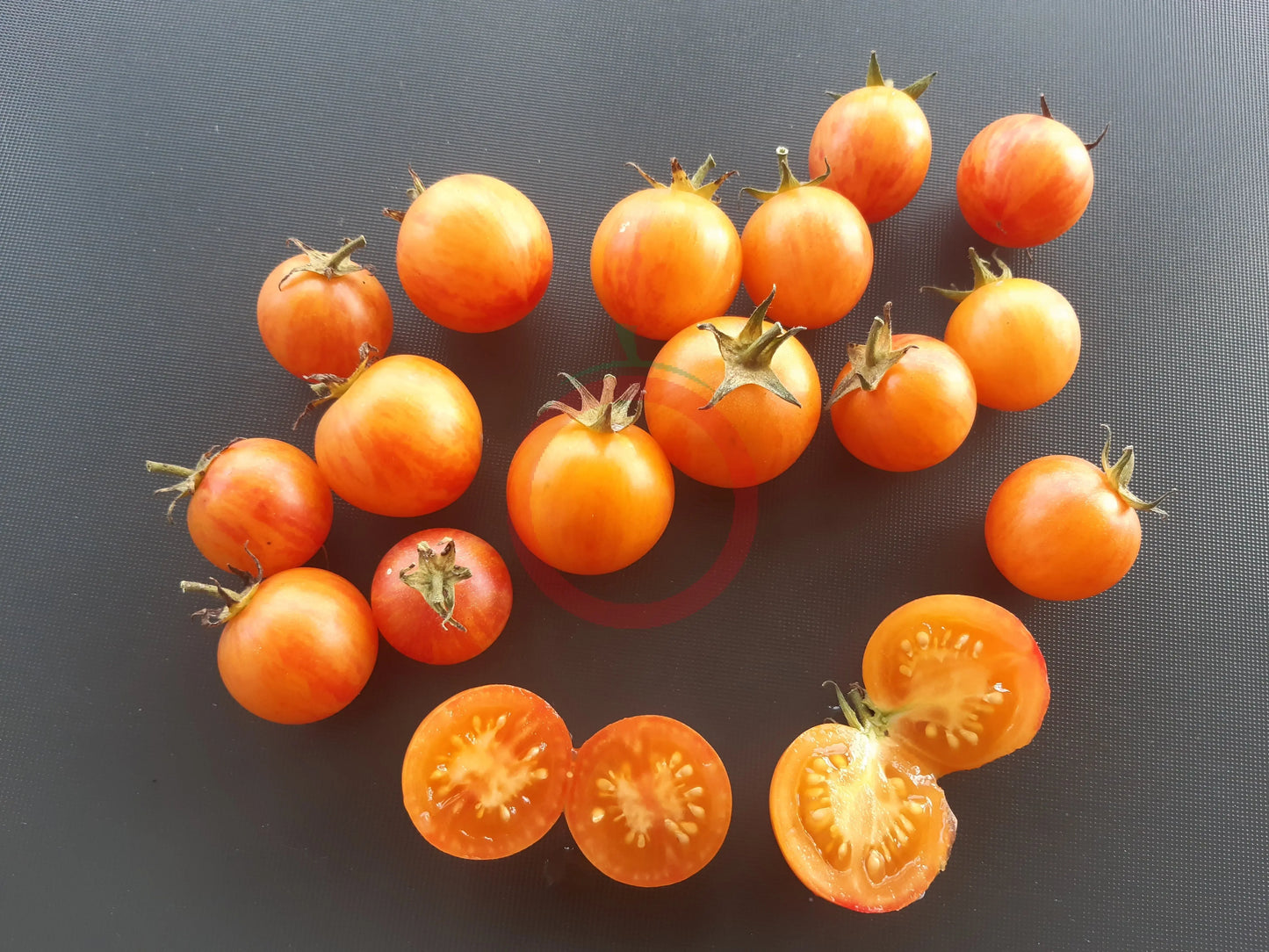 Tropical Sunset DER TOMATENFLÜSTERER
