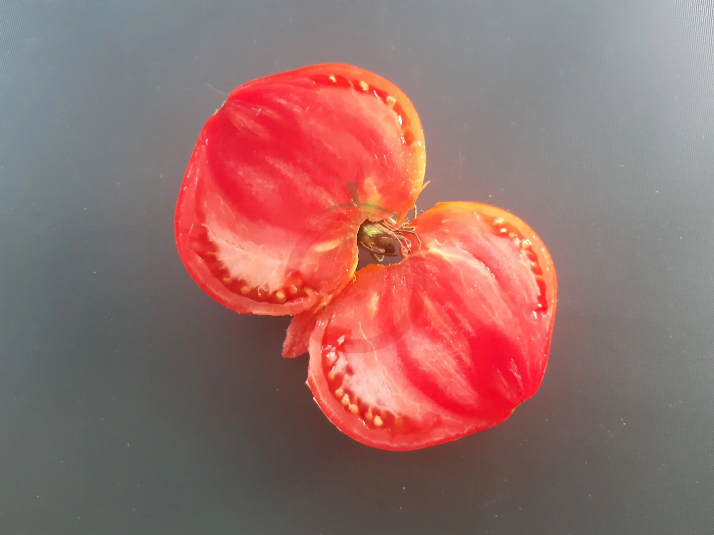 Uncle Steve's Oxheart DER TOMATENFLÜSTERER