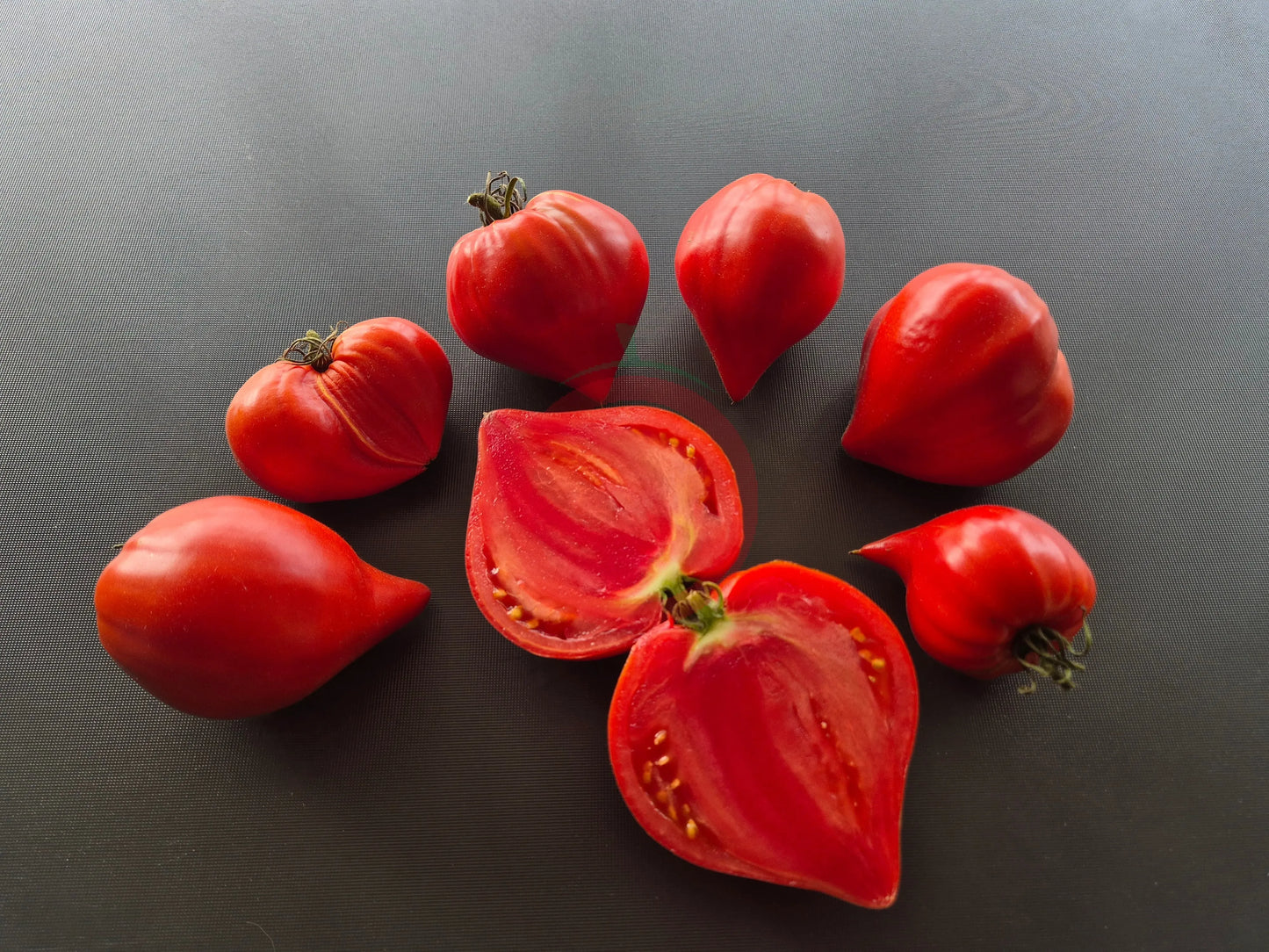 Vater Rhein DER TOMATENFLÜSTERER