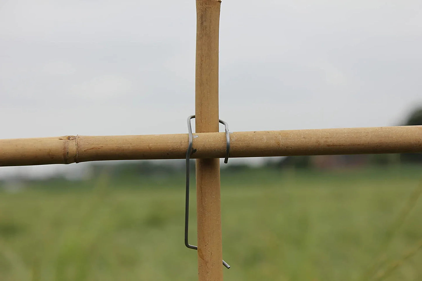 Velto Bambusklammern Tonkinklammern 100 Stück zum Bambusgitter Rankgerüst selber Bauen optimale Rankhilfe DER TOMATENFLÜSTERER