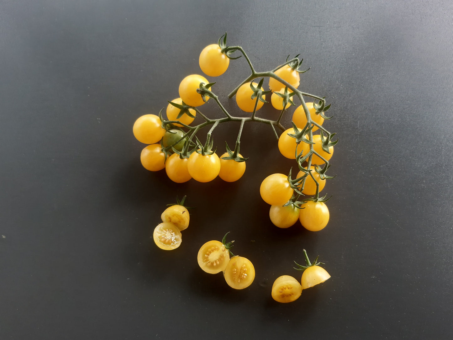 White Rabbit DER TOMATENFLÜSTERER