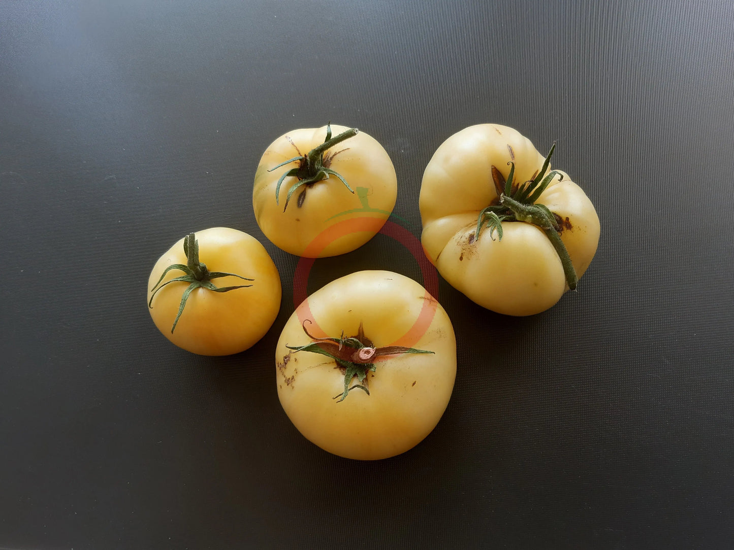 White Wax DER TOMATENFLÜSTERER