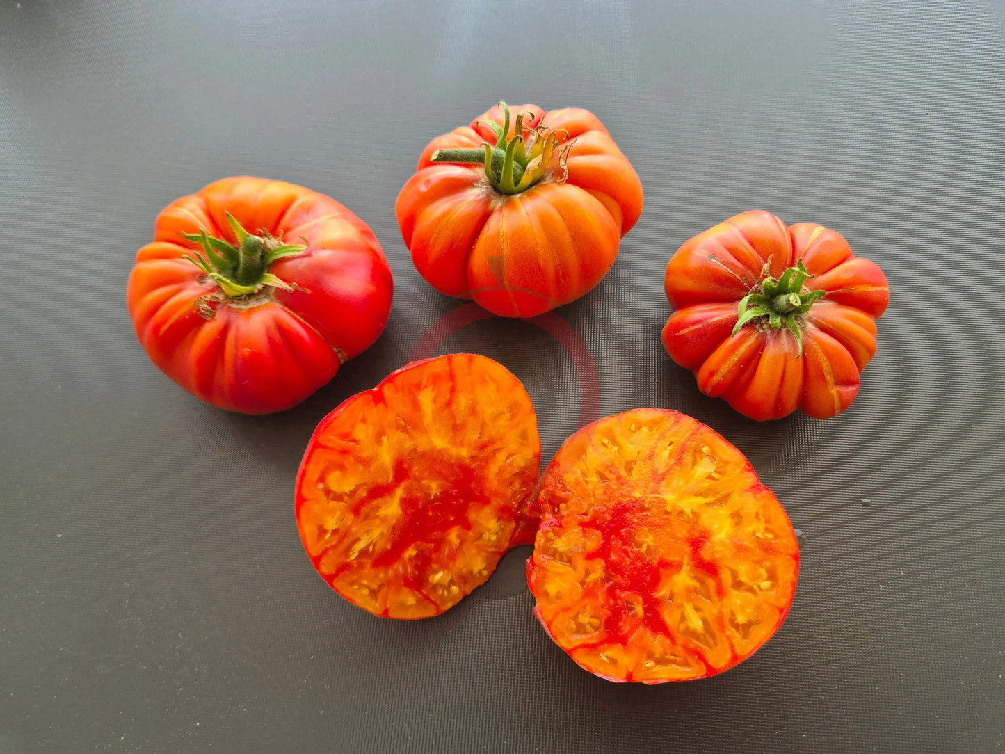 William Striped DER TOMATENFLÜSTERER