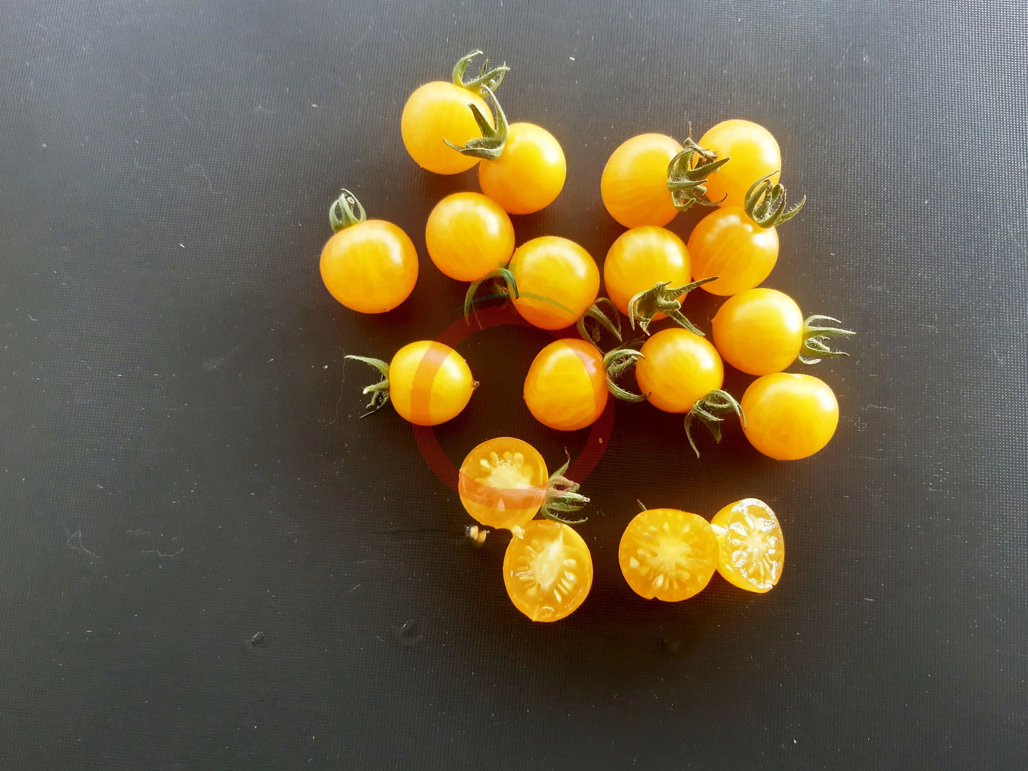 Yellow Quartz DER TOMATENFLÜSTERER