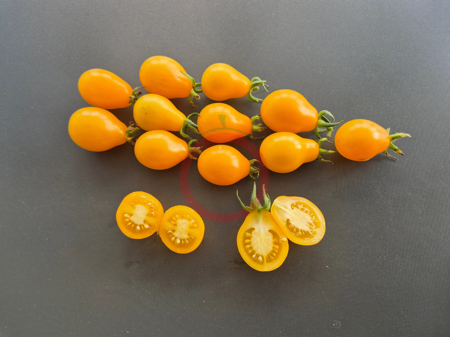 Yellow Submarine DER TOMATENFLÜSTERER