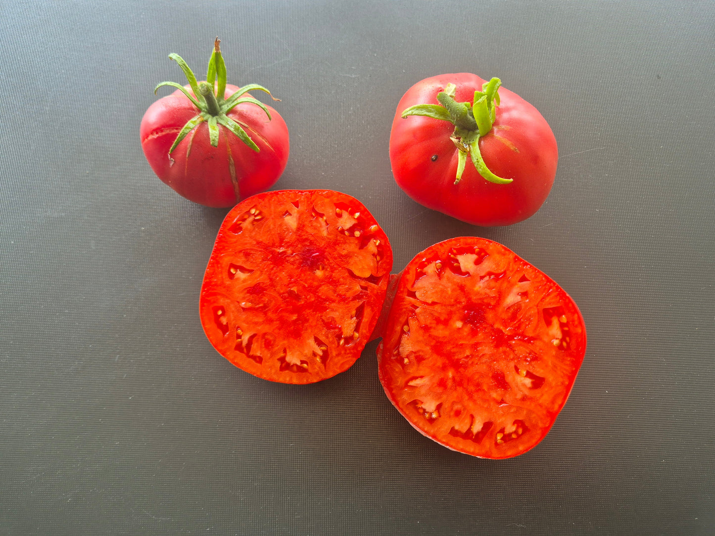 Zaragozano Gordo DER TOMATENFLÜSTERER