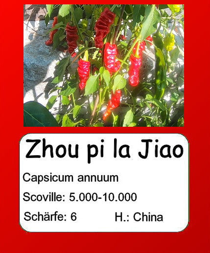 Zhou Pi La Jiao DER TOMATENFLÜSTERER