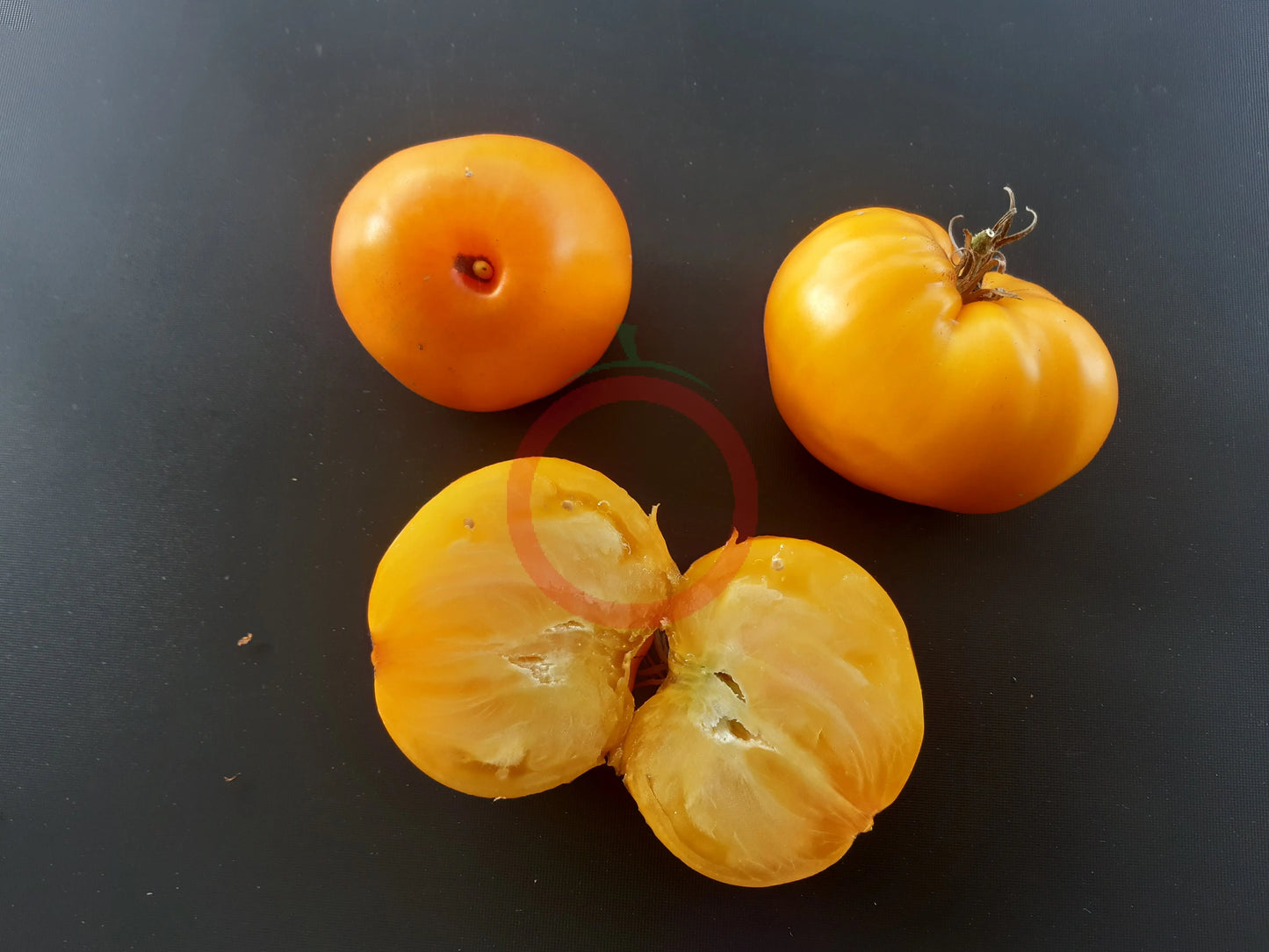 Zolotoy Larets DER TOMATENFLÜSTERER