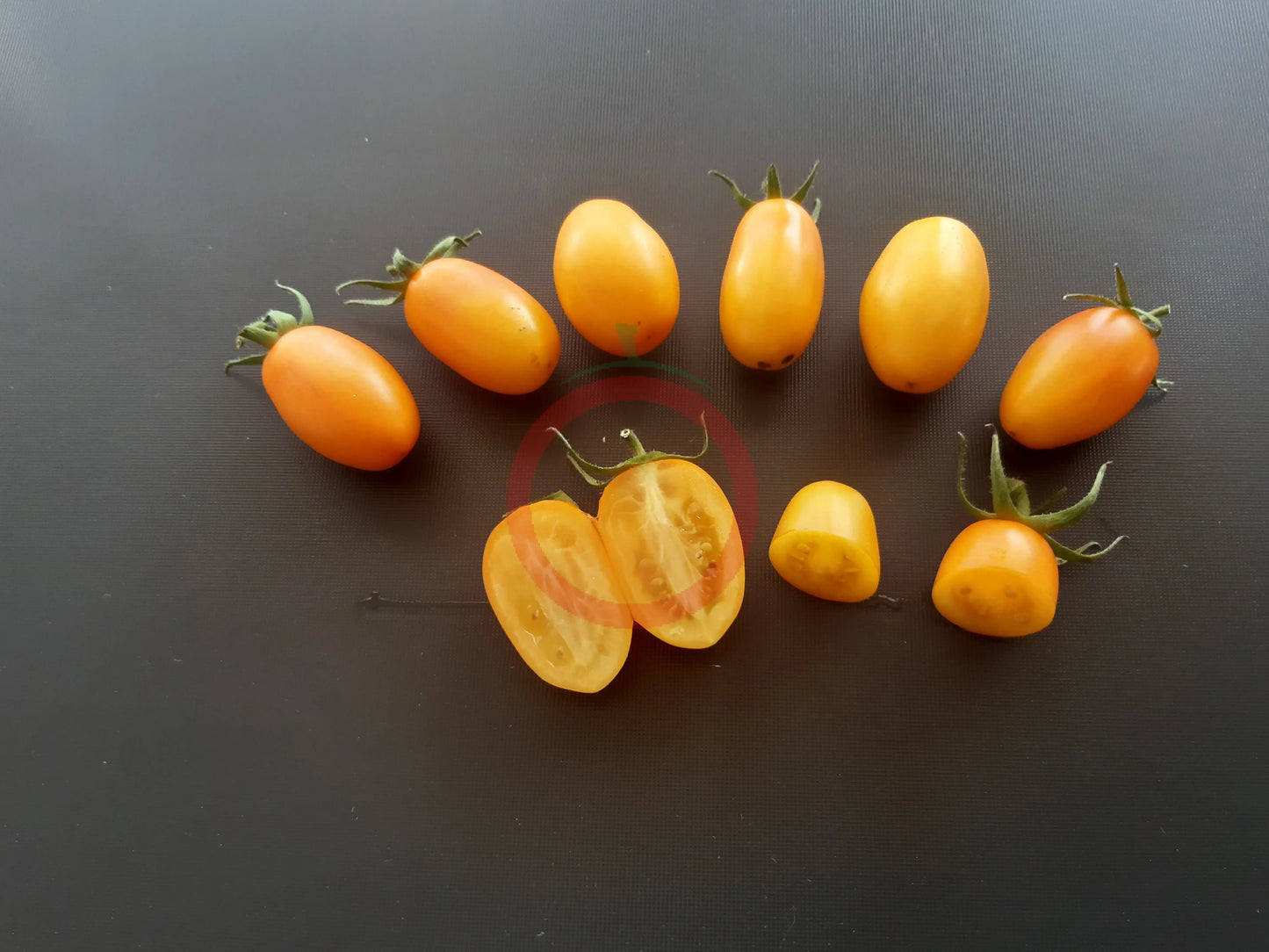 Zolotoy Potok DER TOMATENFLÜSTERER