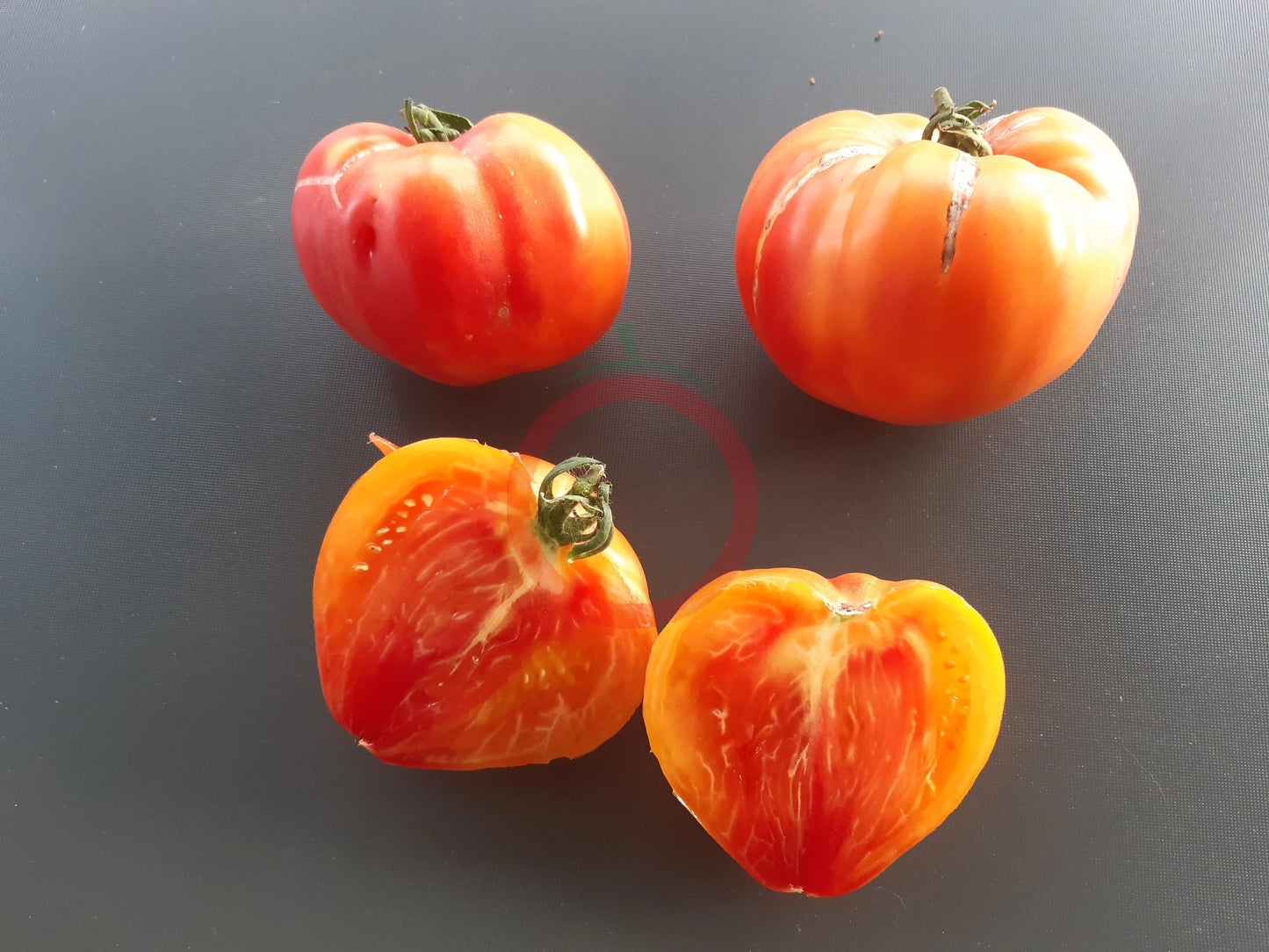 Zolotye Gory Medeo DER TOMATENFLÜSTERER
