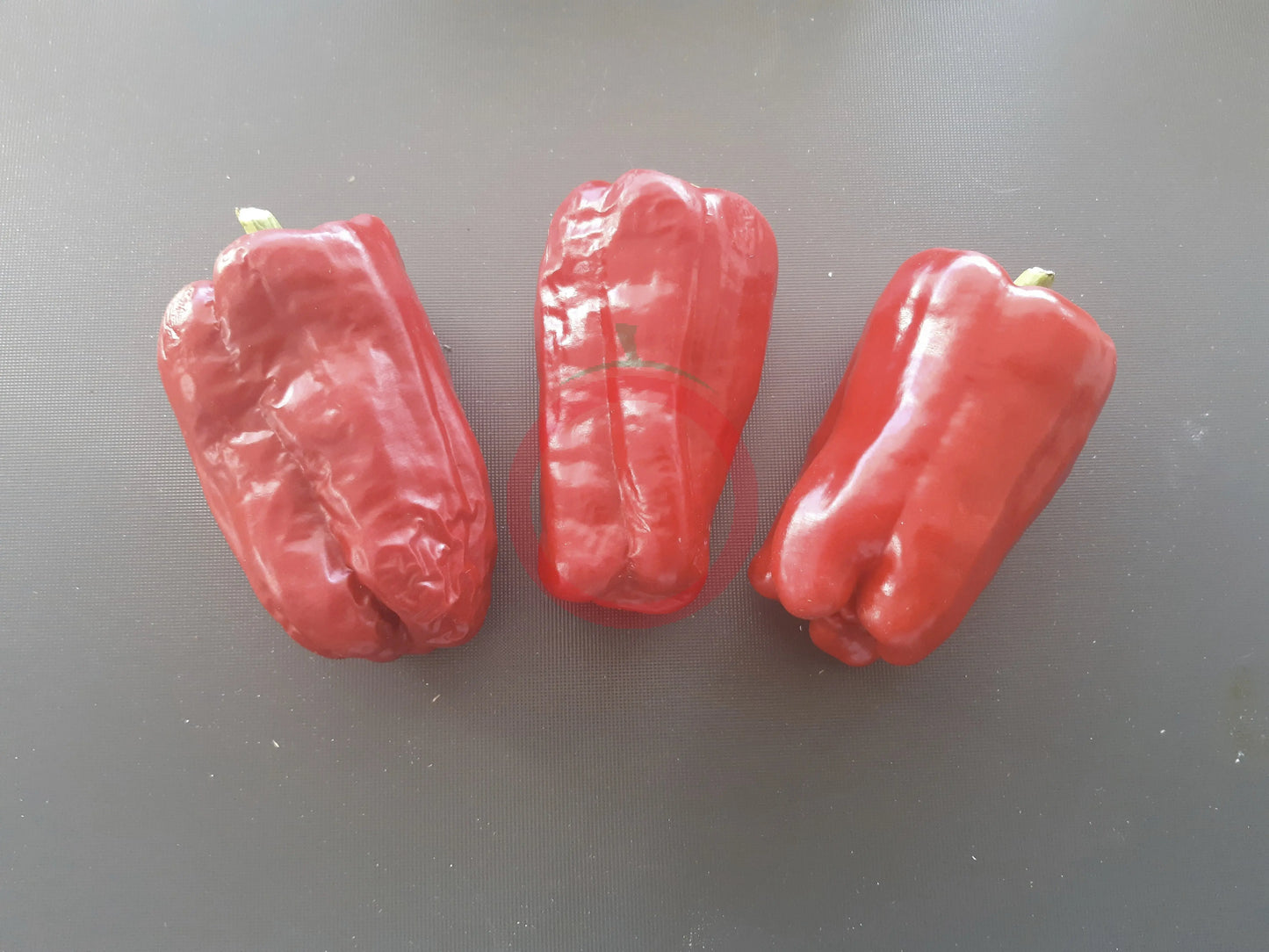 Zulu DER TOMATENFLÜSTERER