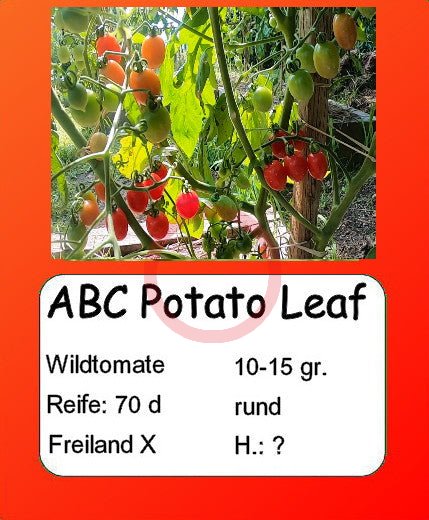 ABC Potato Leaf DER TOMATENFLÜSTERER