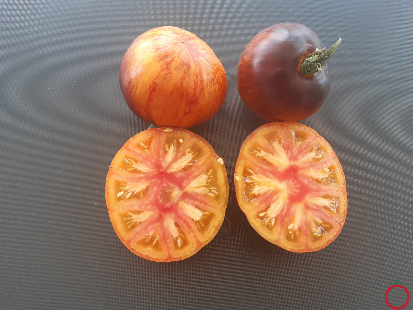 Alice Dreams DER TOMATENFLÜSTERER