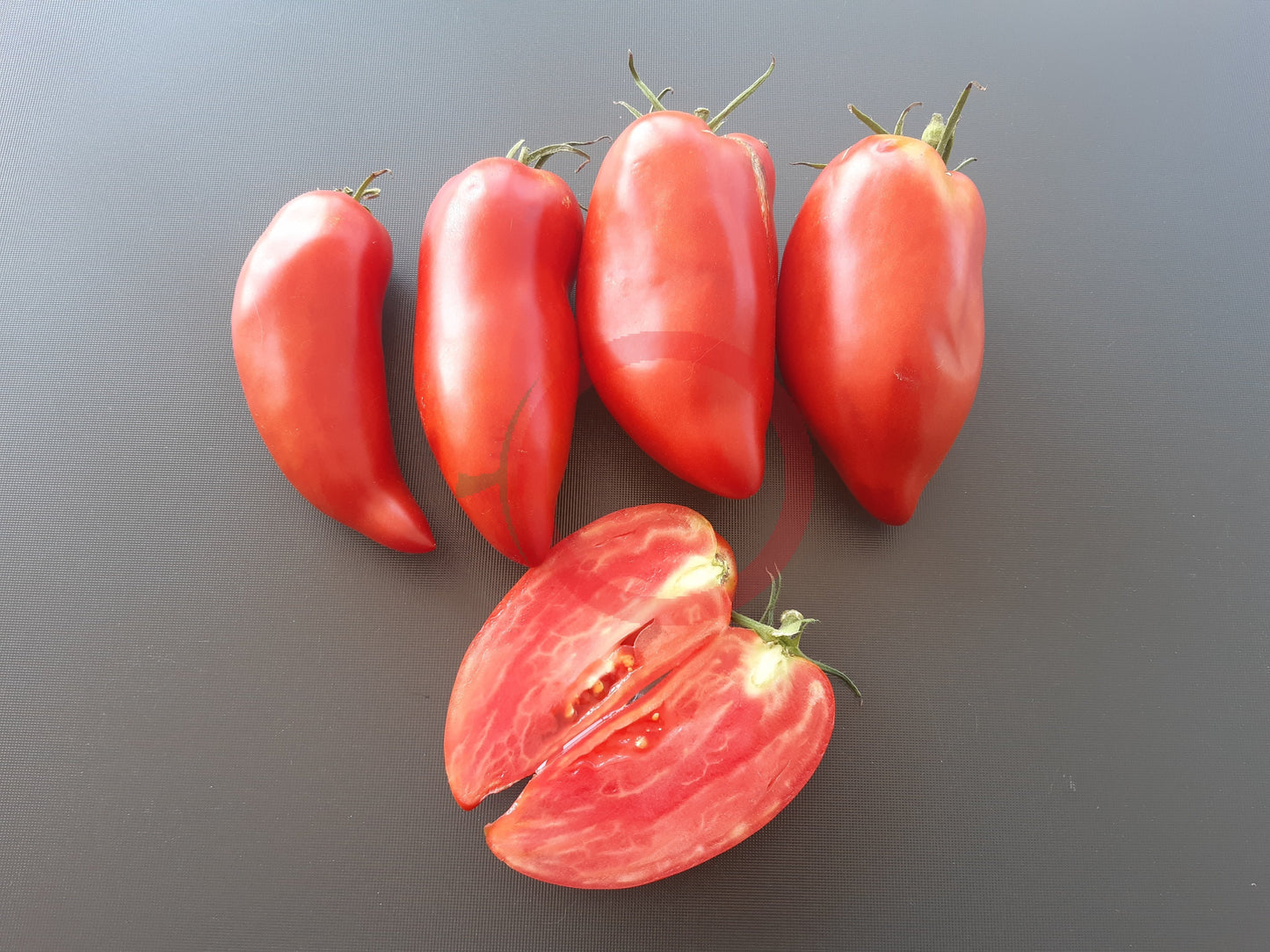 Alter Kommunist DER TOMATENFLÜSTERER