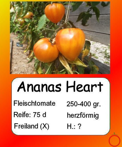 Ananas Heart DER TOMATENFLÜSTERER