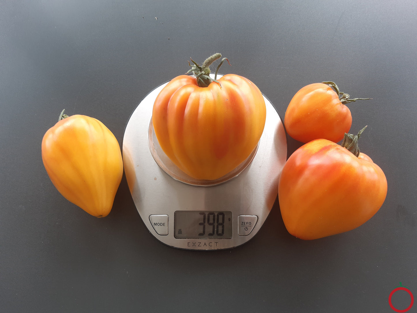 Ananas Heart DER TOMATENFLÜSTERER