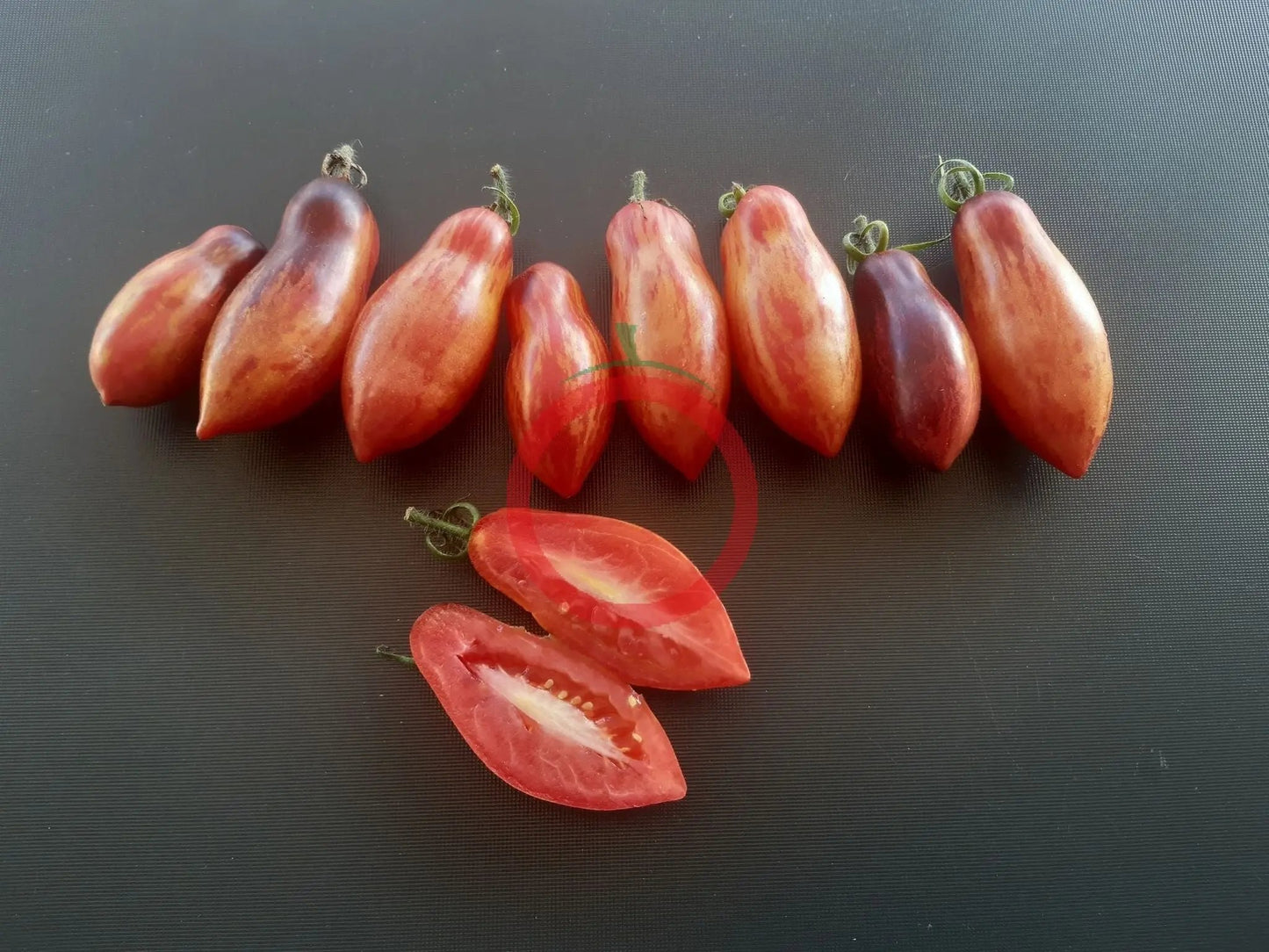 Antho Pink Panther (Kopie) DER TOMATENFLÜSTERER