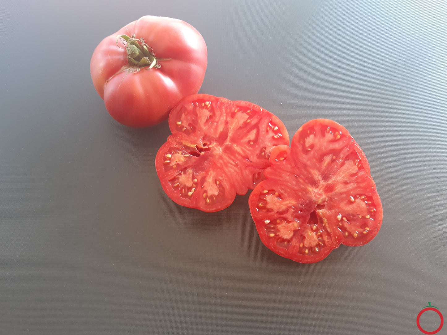 Aunt Lous Underground Railroad DER TOMATENFLÜSTERER