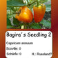 Bagiras Seedling 2 DER TOMATENFLÜSTERER