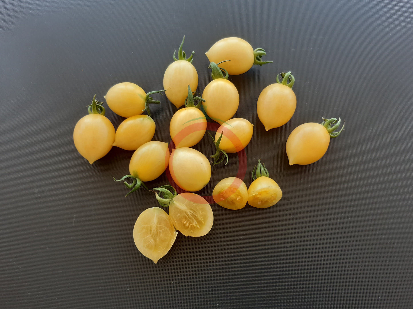 Barry's Crazy Cherry DER TOMATENFLÜSTERER