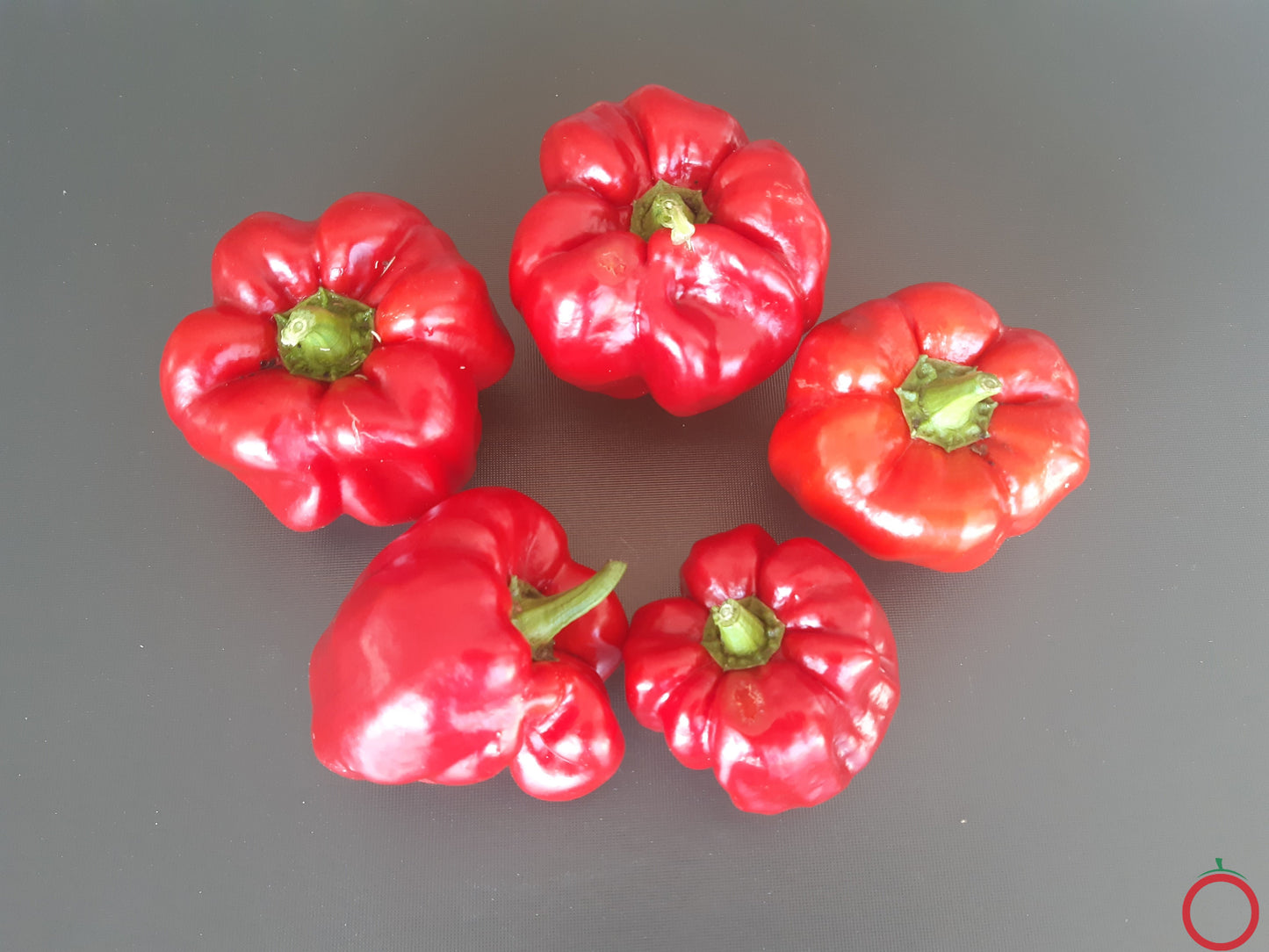 Benxi DER TOMATENFLÜSTERER