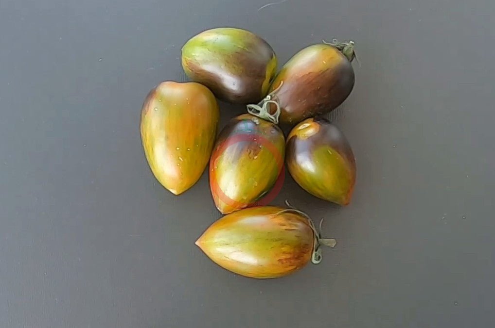 Brads Atomic Grape DER TOMATENFLÜSTERER