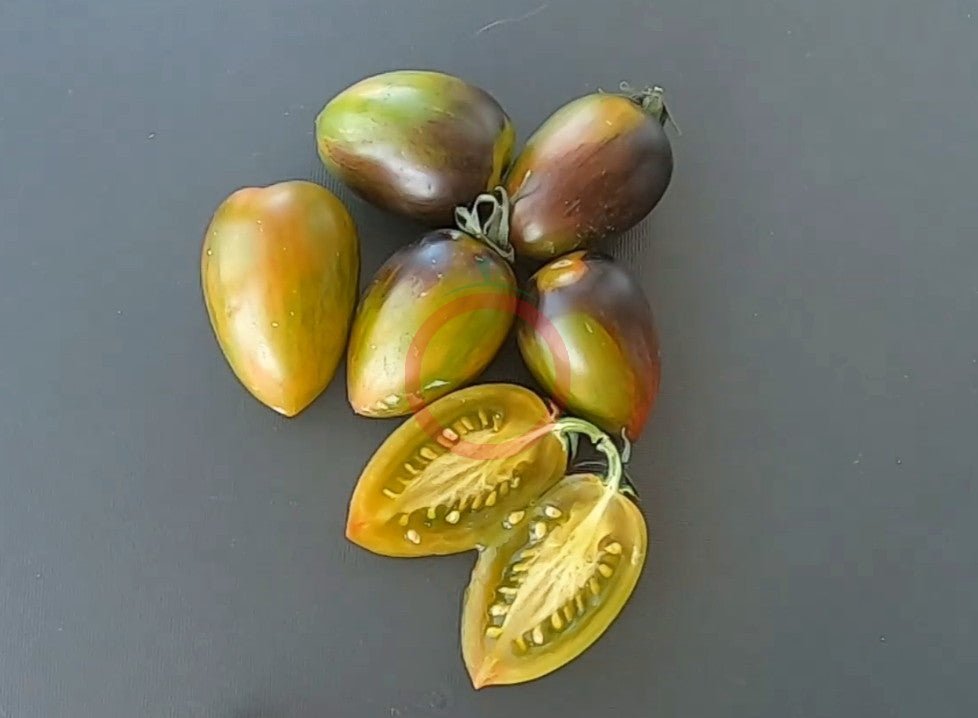 Brads Atomic Grape DER TOMATENFLÜSTERER