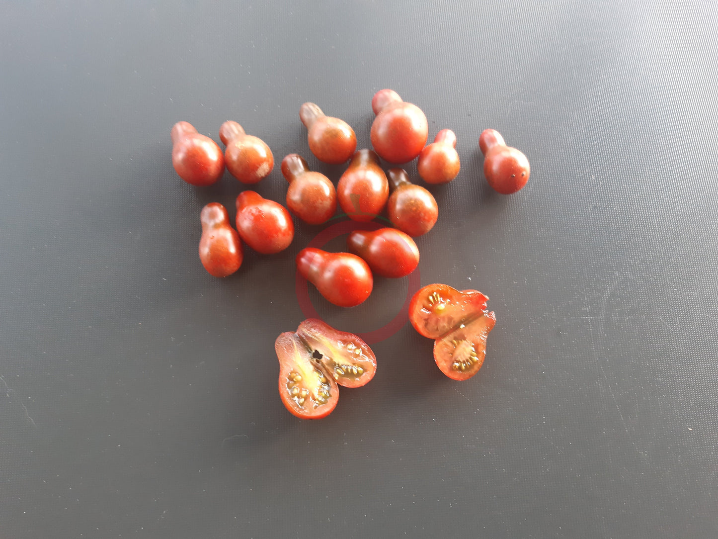 Cafe Bule DER TOMATENFLÜSTERER