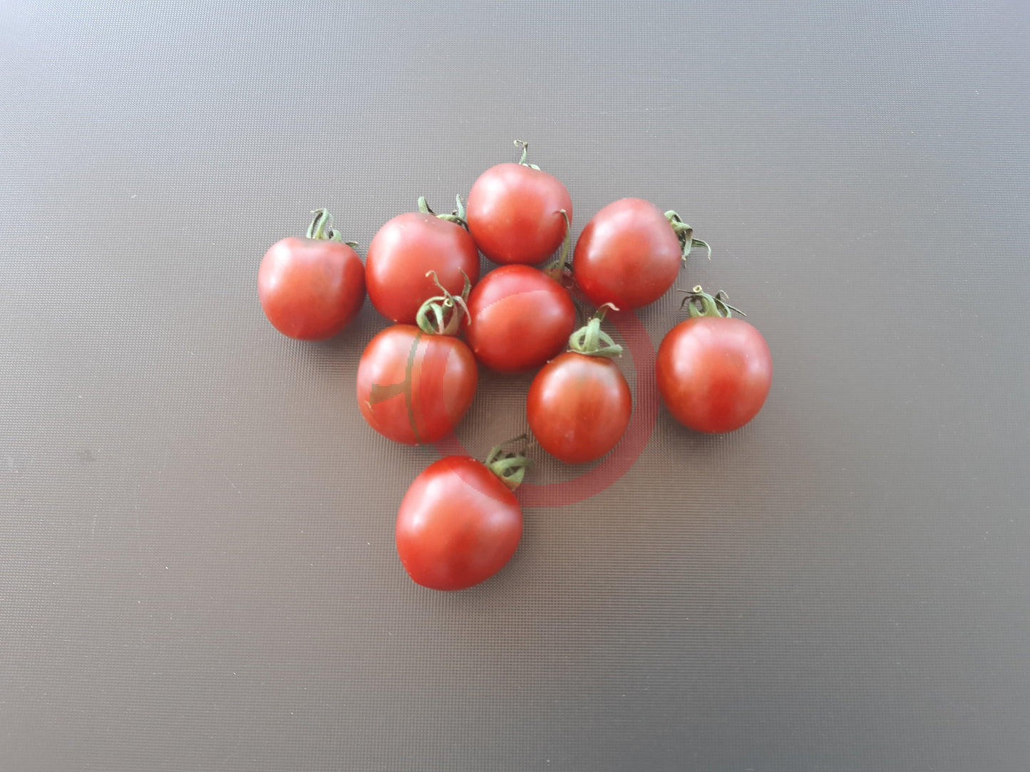 Centiflor Black DER TOMATENFLÜSTERER