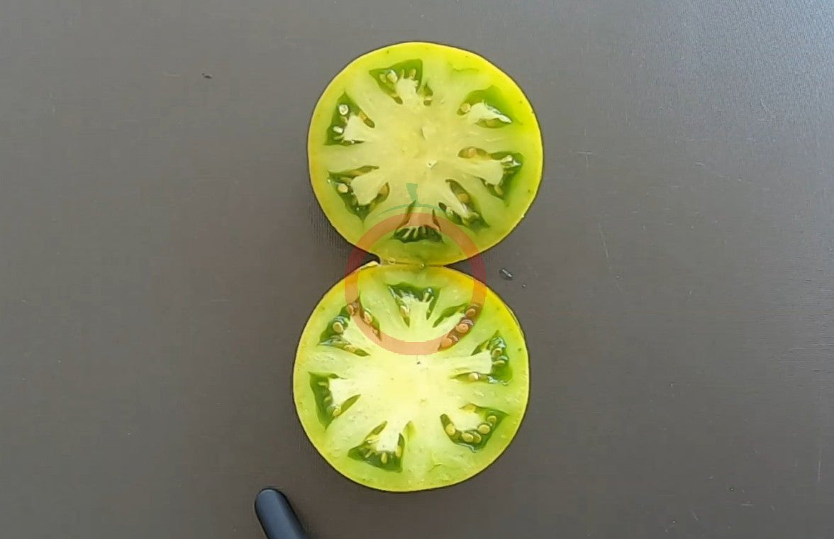 Cherokee Green DER TOMATENFLÜSTERER
