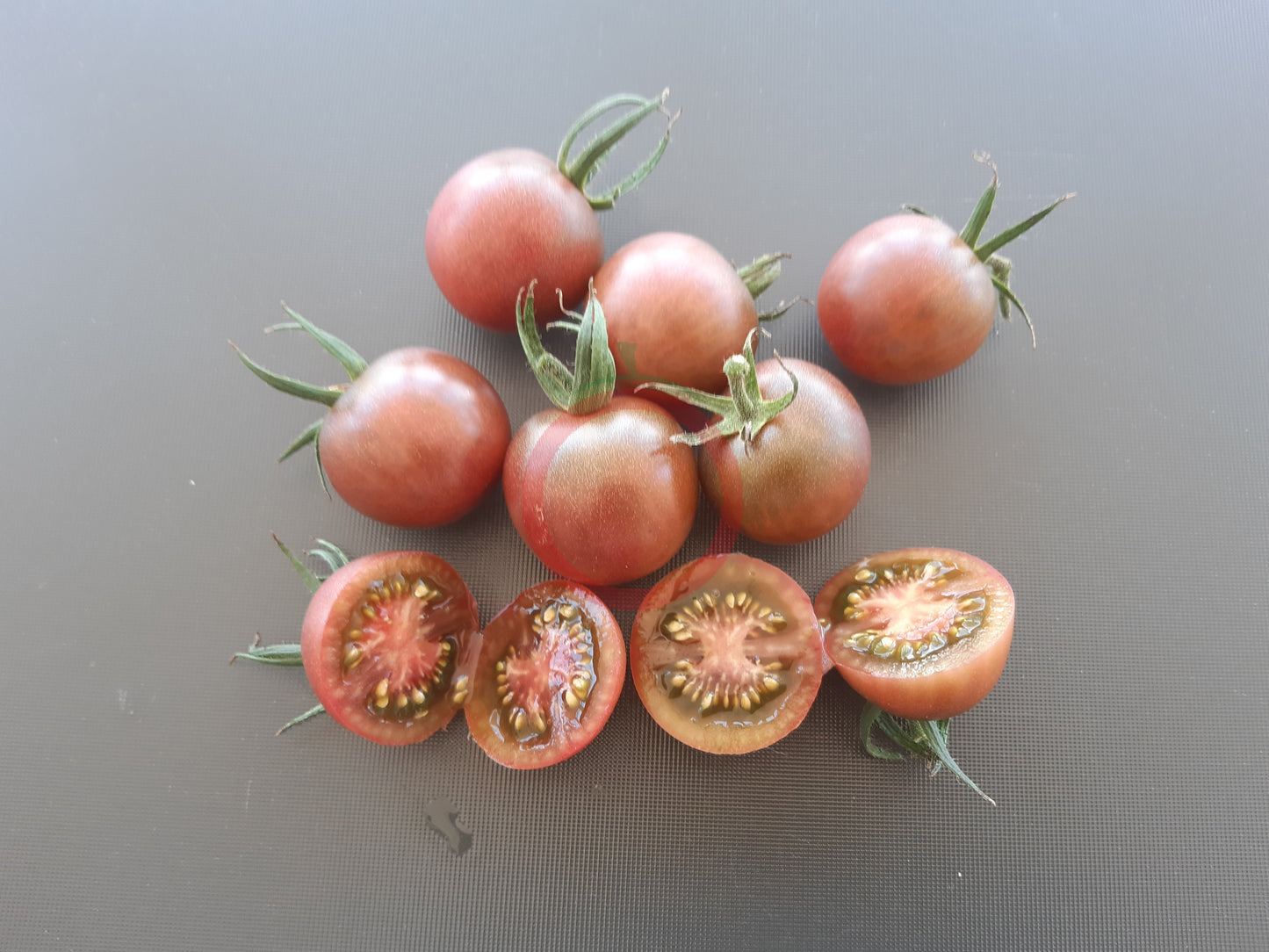 Cherokee Purple Cherry DER TOMATENFLÜSTERER