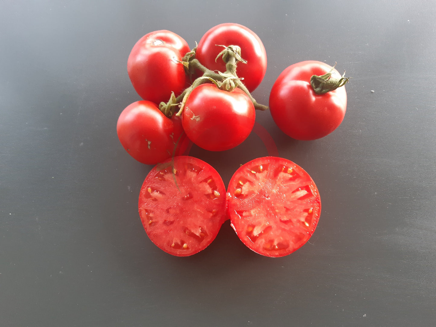 Clint Eastwood Rowdy Red DER TOMATENFLÜSTERER
