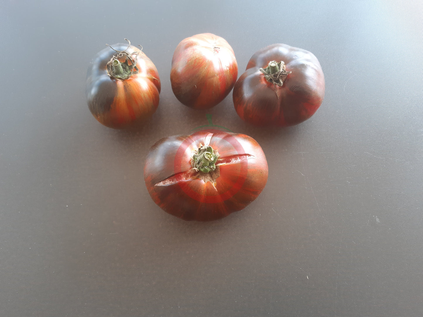 Cosmic Eclipse DER TOMATENFLÜSTERER