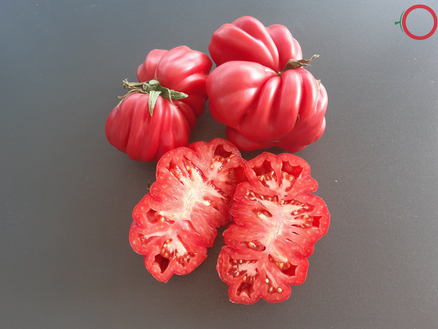 Côtelée de Valence DER TOMATENFLÜSTERER