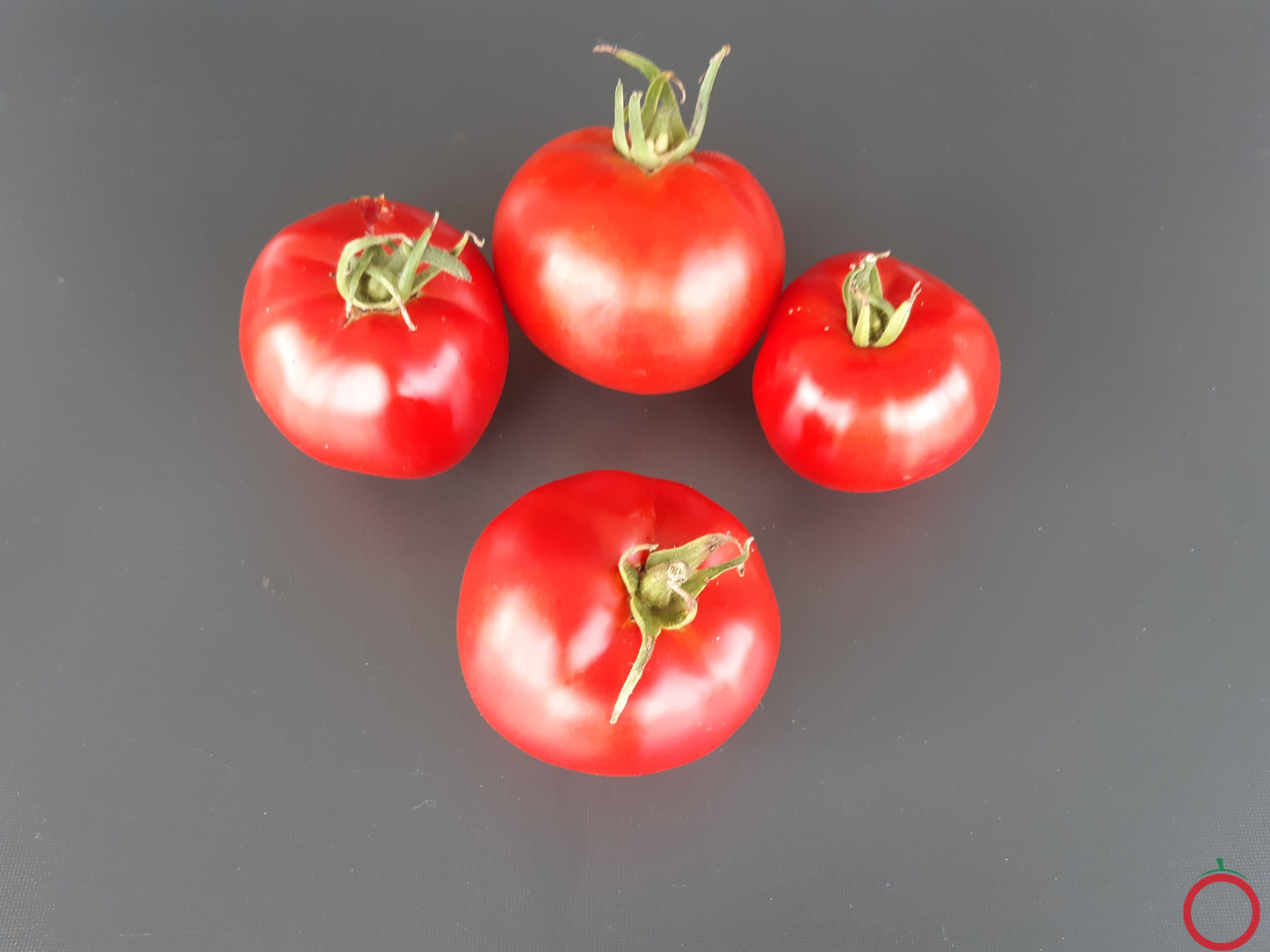 Couille De Taureau DER TOMATENFLÜSTERER