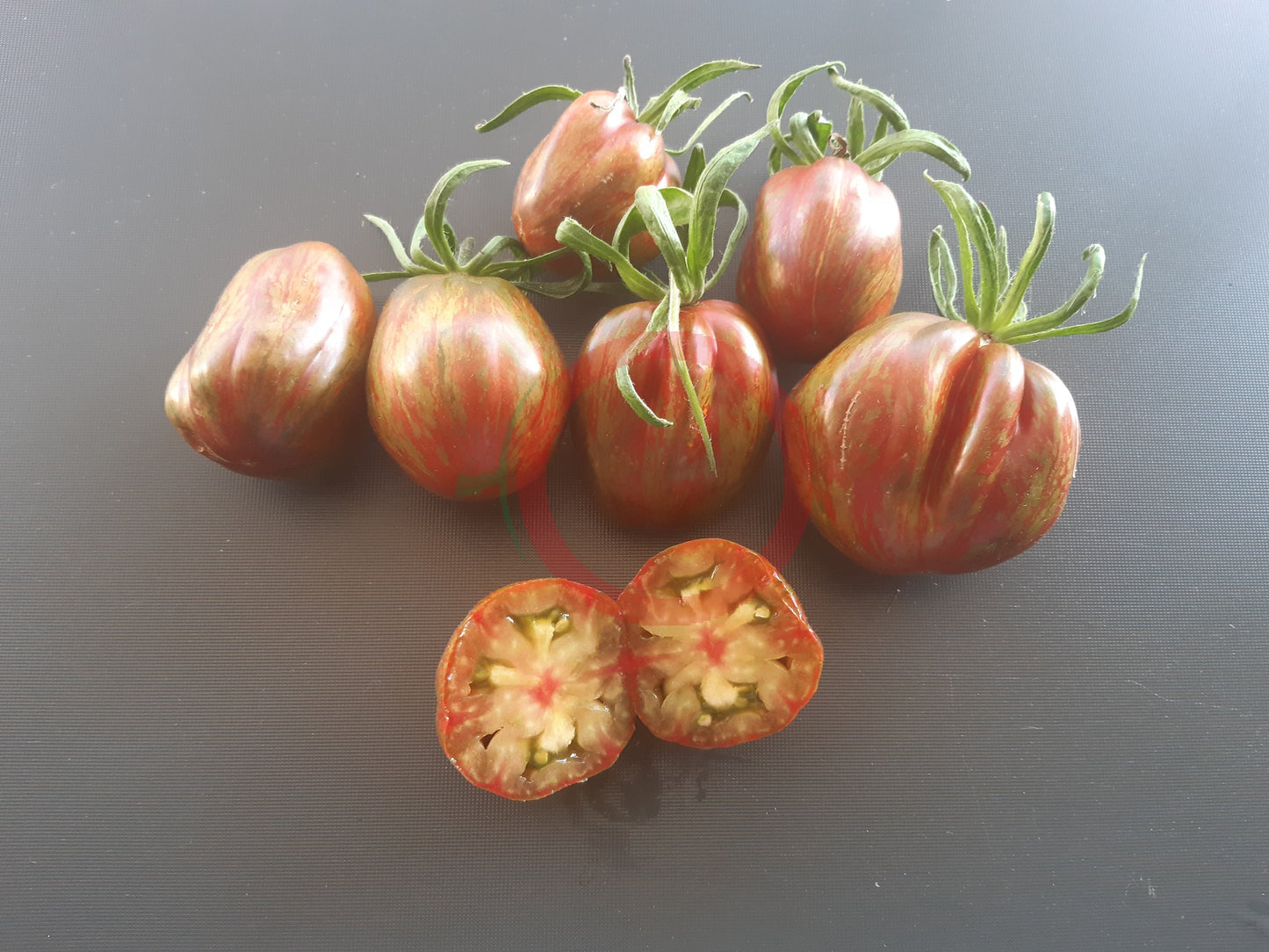 Cuban Salami DER TOMATENFLÜSTERER