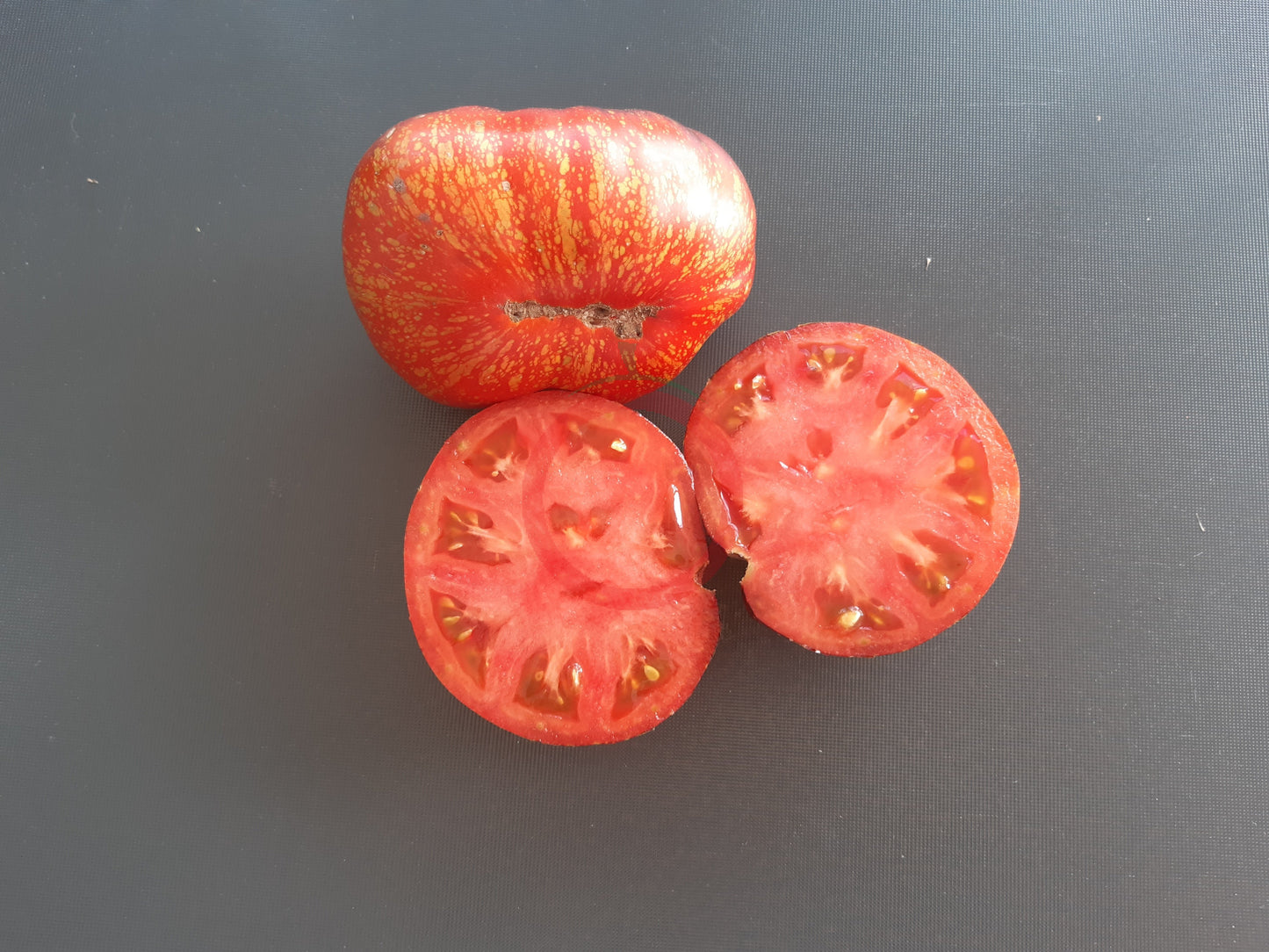 Dark Galaxy DER TOMATENFLÜSTERER