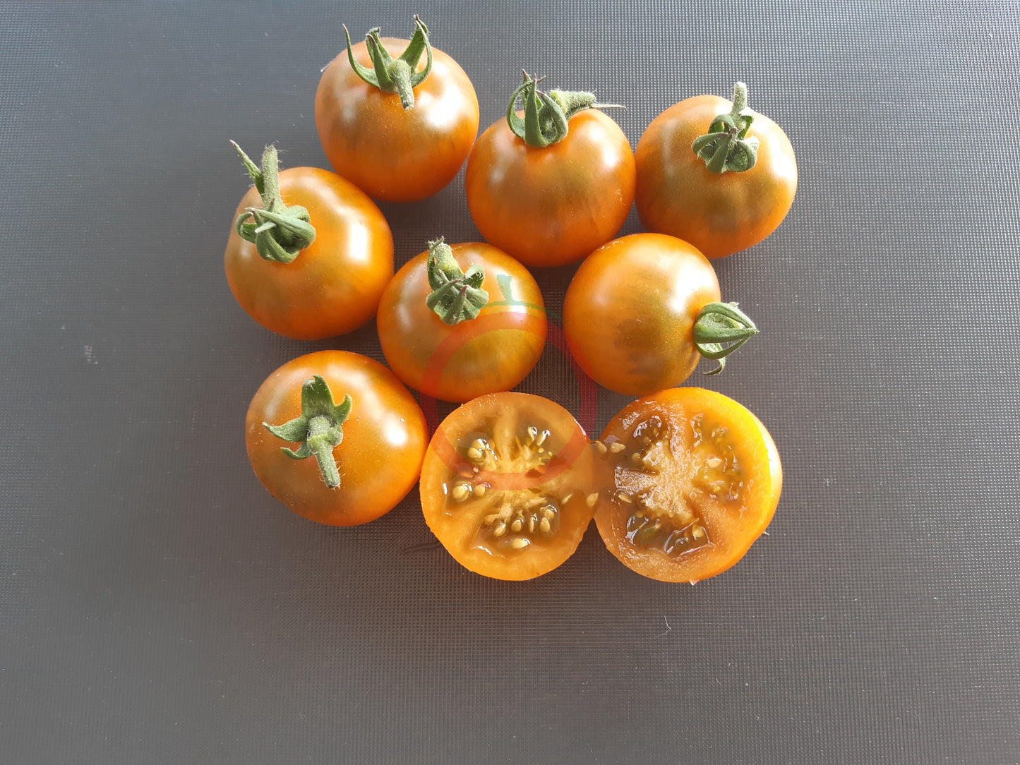 Dark Orange Muscat DER TOMATENFLÜSTERER