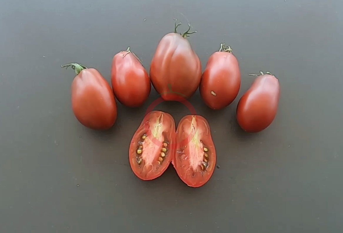 Deep Space DER TOMATENFLÜSTERER