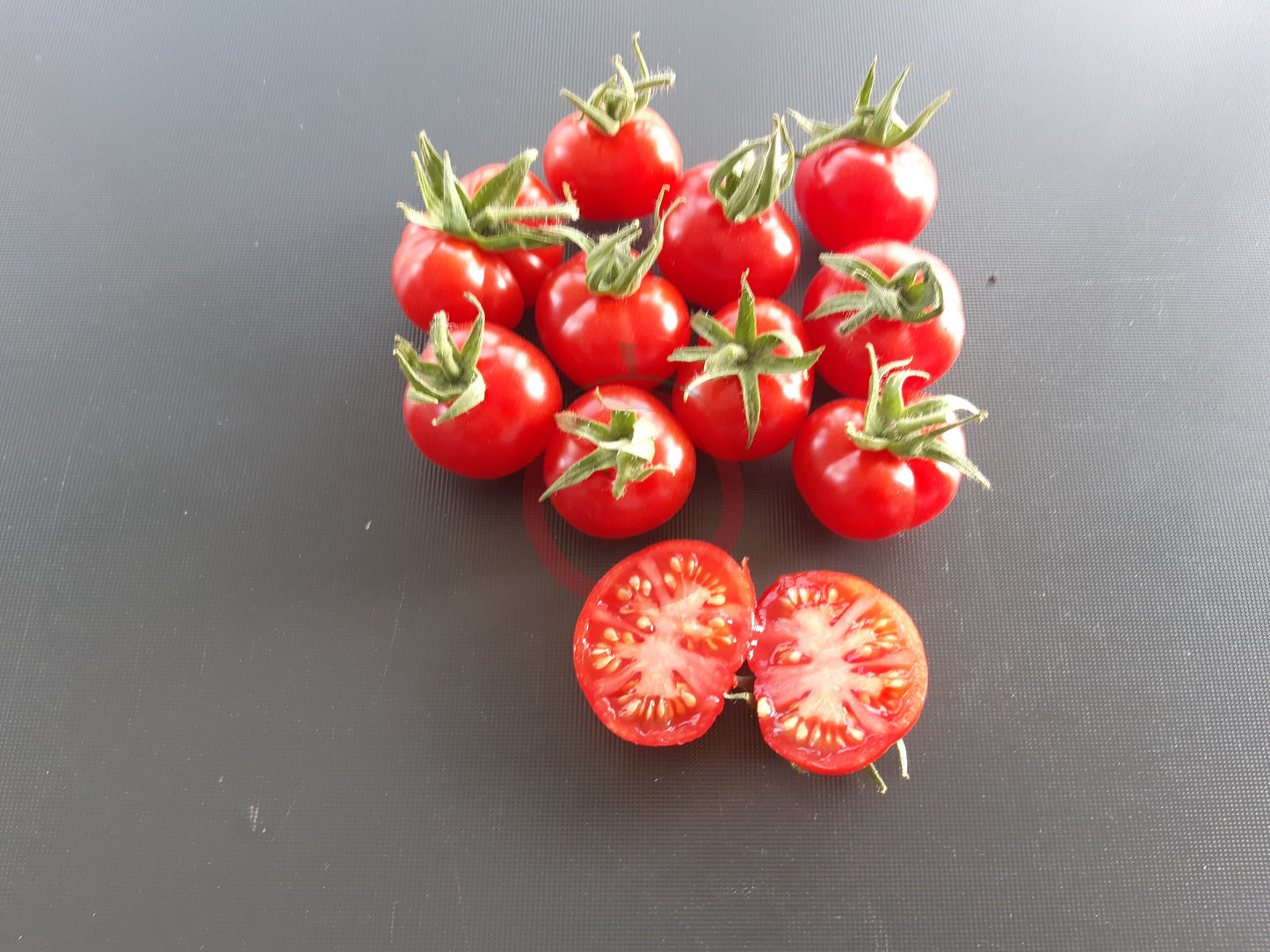 Del Gato DER TOMATENFLÜSTERER