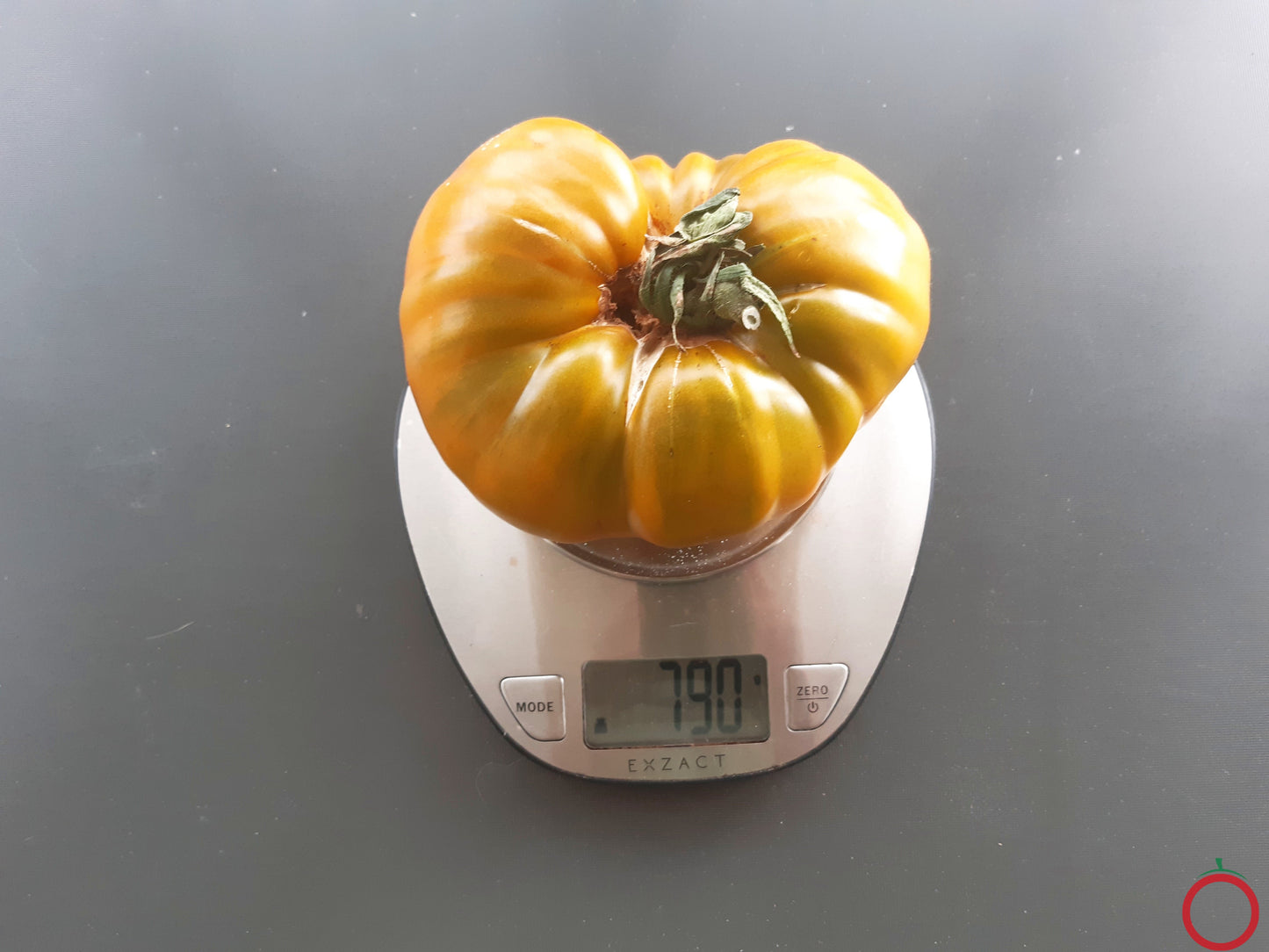 Desdemona´s Heart Kreuzung F2 DER TOMATENFLÜSTERER