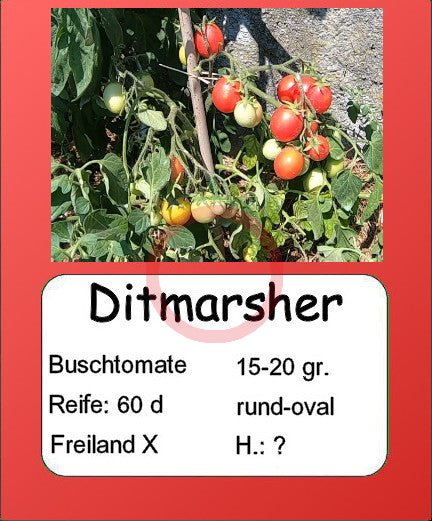 Ditmarsher DER TOMATENFLÜSTERER
