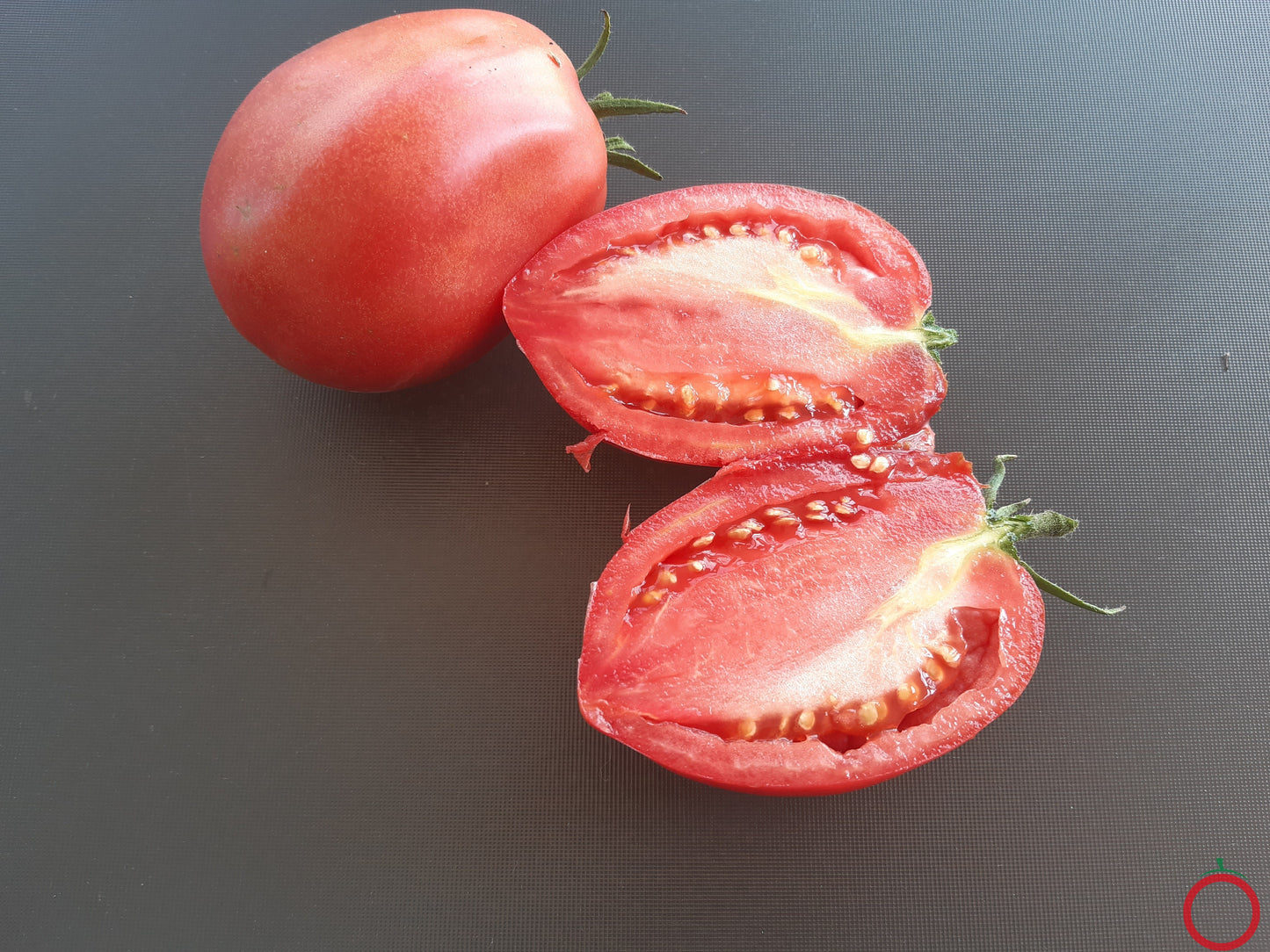 Donkey´s Ears DER TOMATENFLÜSTERER